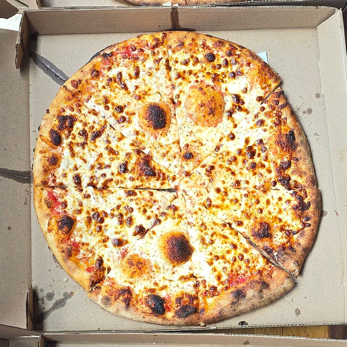 Plain Pizza (Large).