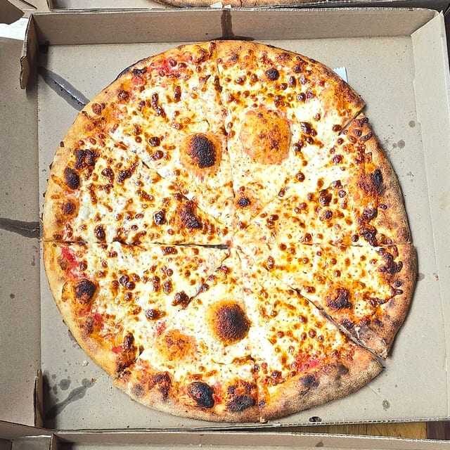Plain Pizza (Large).